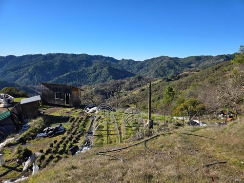 16191 Ridgeview Rd, Willits, CA, 95490-9705 | Card Image