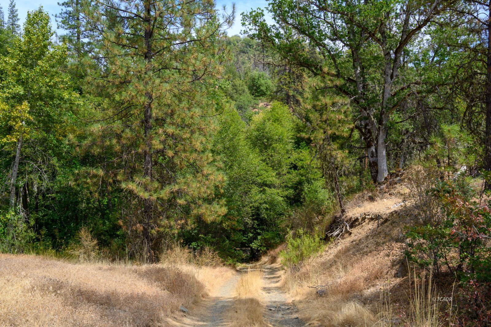 Land in Douglas City