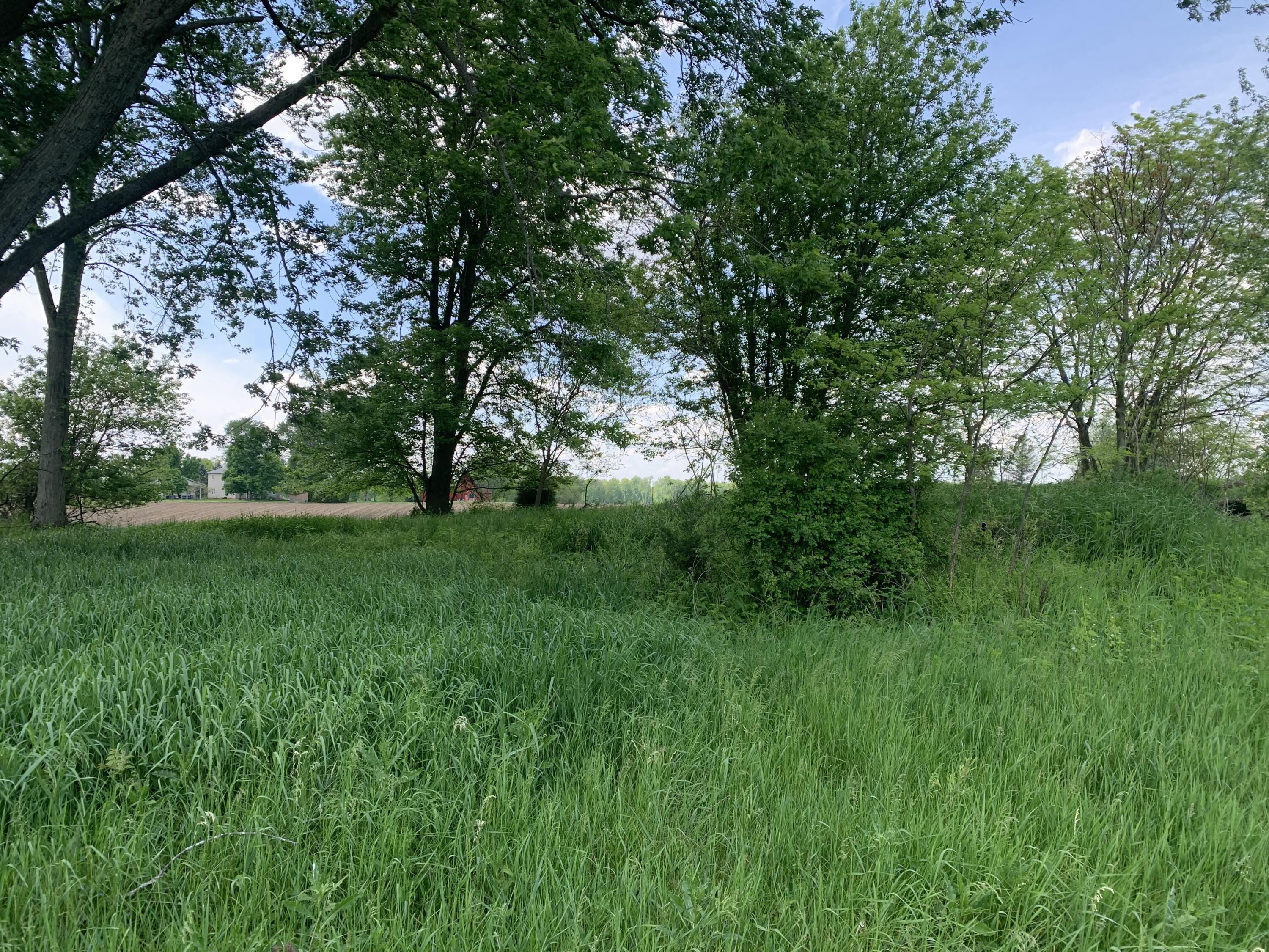Land in Bronson 4