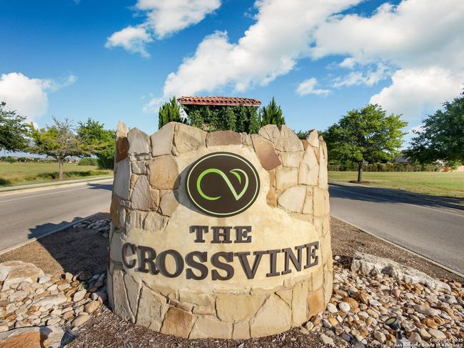 The Crossvine Neighborhood | Image 31