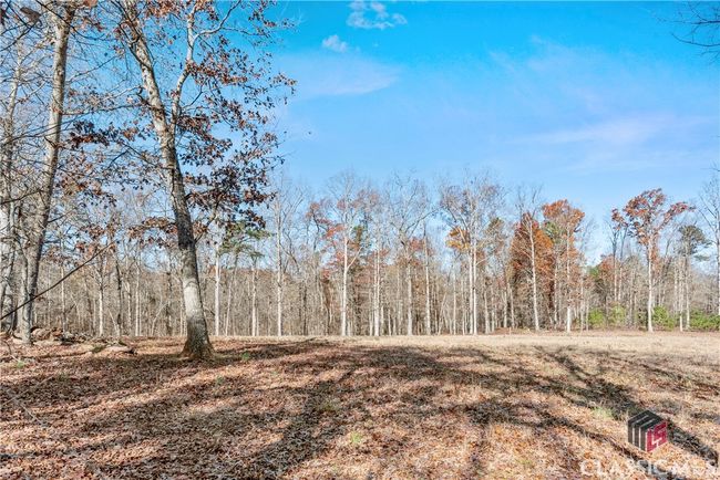 905 Adams Duncan Rd, House other with 4 bedrooms, 2 bathrooms and null parking in hull GA | Image 37