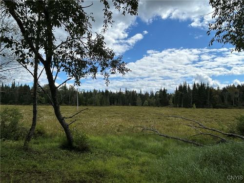 1406 Gray Wilmurt Rd, Cold Brook, NY, 13324-2906 | Card Image