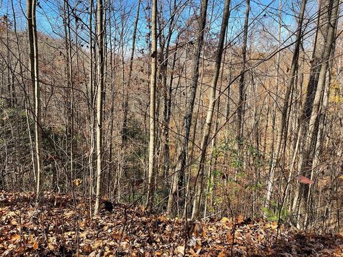 Lot 49J Indian Trail Ln, Hayesville, NC, 28904 | Card Image