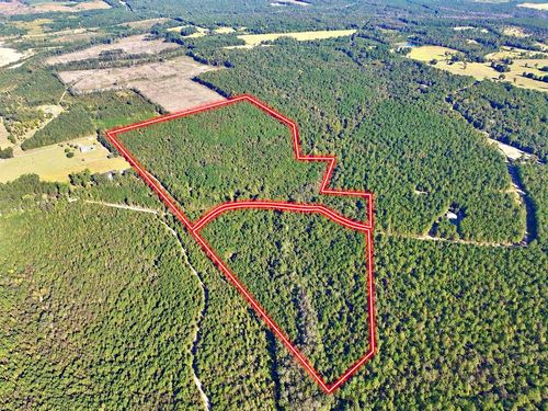 475 Holloway-Ray Road, McIntyre, GA, 31054 | Card Image