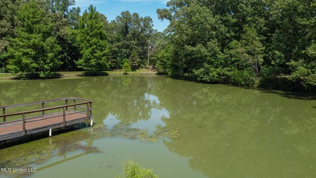 Pond | Image 60