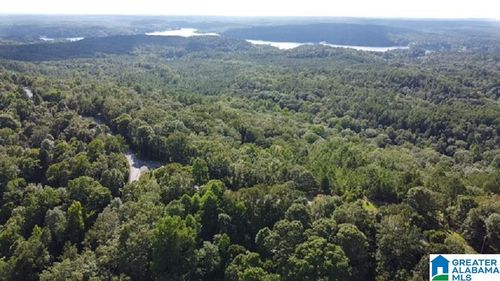 1-0 Eagle Mountain Rd, Rockford, AL, 35136 | Card Image