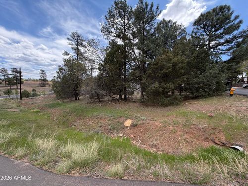 4-261 S 1st Drive, Show Low, AZ, 85901 | Card Image