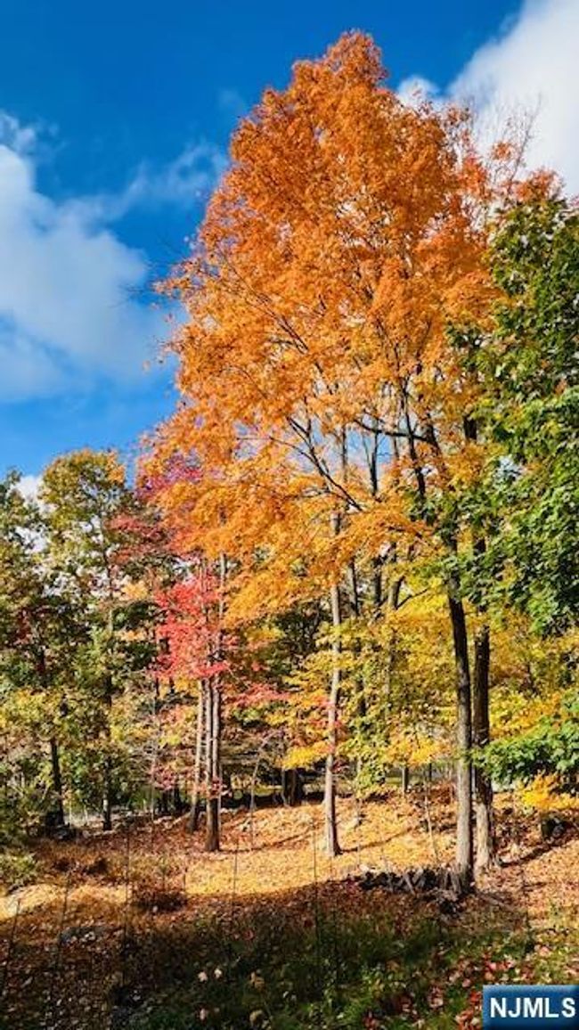 37 Osborne Ct, House other with 4 bedrooms, 3 bathrooms and null parking in Mahwah NJ | Image 45