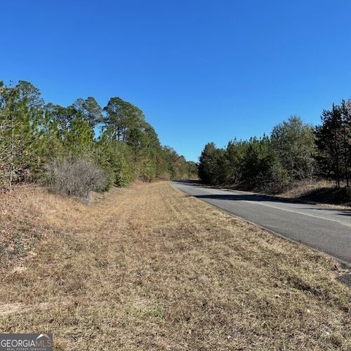 40+/- ACRES Pineville Rd, Buena Vista, GA, 31803 | Card Image