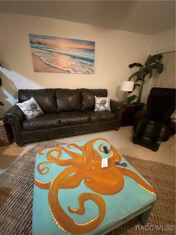 Residential Lease in Lecanto 4