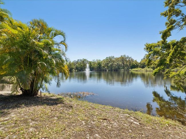 2644 2 Nd Ct, Townhouse with 2 bedrooms, 3 bathrooms and null parking in PALM HARBOR FL | Image 51