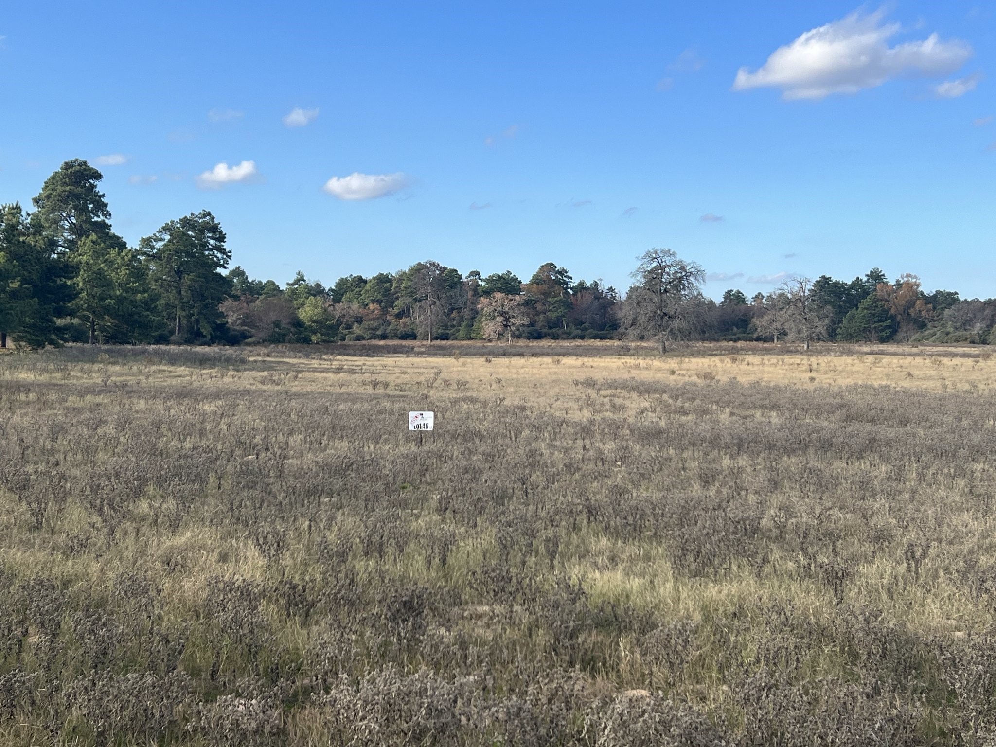 Land in Centerville 5