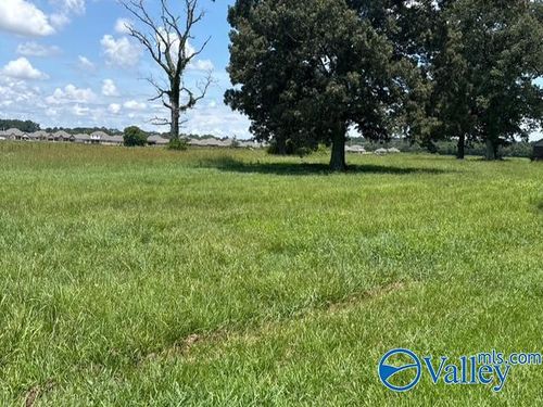 13.61 ACRES Toney Rd, Toney, AL, 35773-8569 | Card Image