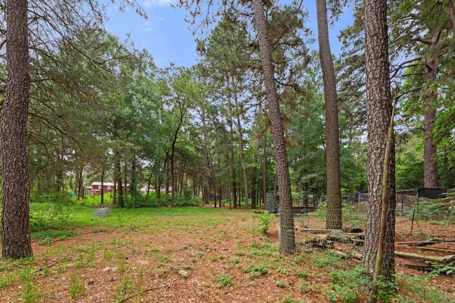 View of yard | Image 25