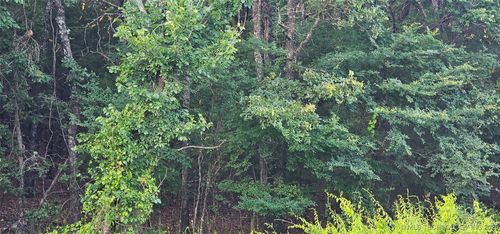 000000 E Moonshine/1000 Road, Gore, OK, 74435 | Card Image