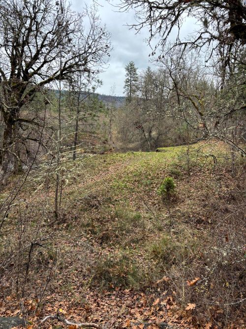 0 Crowfoot Rd, Trail, OR, 97541 | Card Image