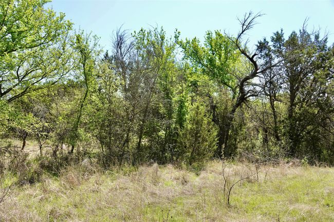 12345 County Road 107, Home with 0 bedrooms, 0 bathrooms and null parking in Mingus TX | Image 30