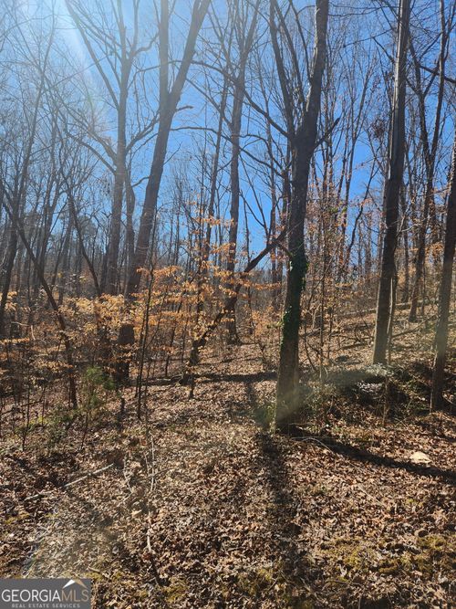 0 Ridgeview Ct., Lavonia, GA, 30553 | Card Image