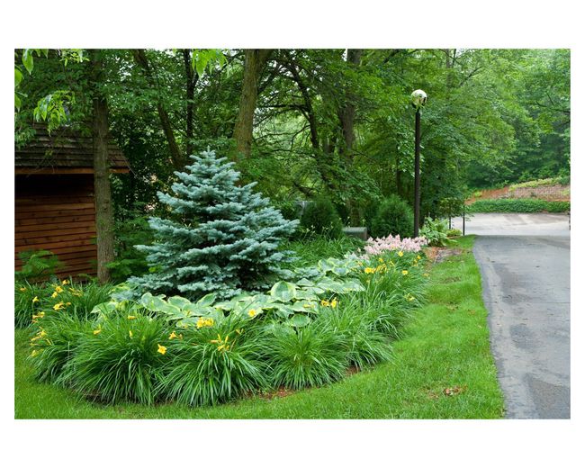 Enjoy the flowers while walking the grounds | Image 36
