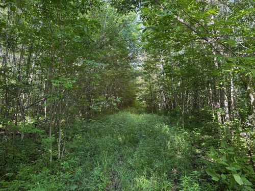 40a Bridgie Road, Northome, MN, 56661 | Card Image