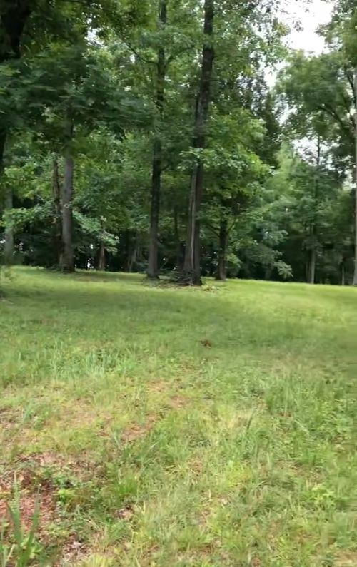 6 Green Grove Rd, Burkesville, KY, 42717-8813 | Card Image