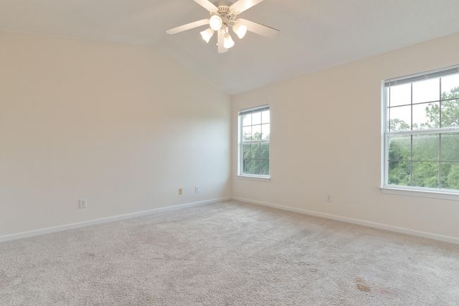282 swaying pines-25 | Image 23