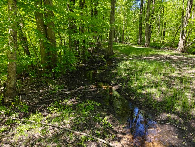 10830 3 Mile Rd, Home with 0 bedrooms, 0 bathrooms and null parking in Branch MI | Image 12