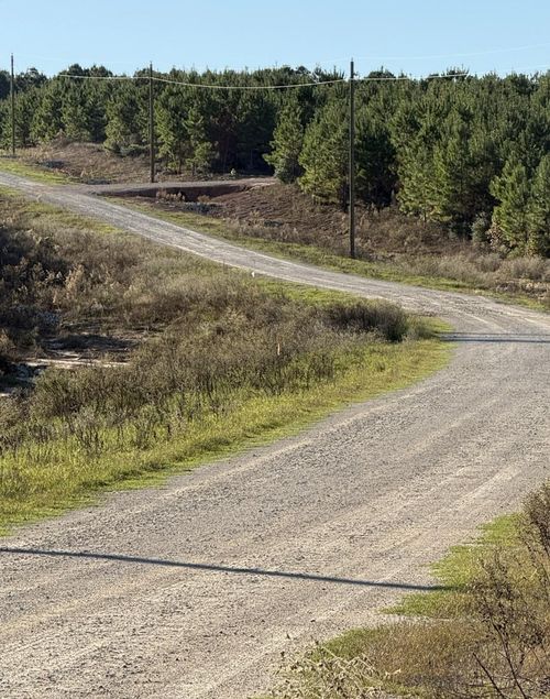 TBD Black Oak, Livingston, TX, 77351 | Card Image