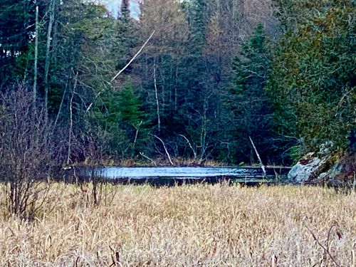 LOT 0-B Legrou Lake Rd, Arnstein, ON, P0H1A0 | Card Image