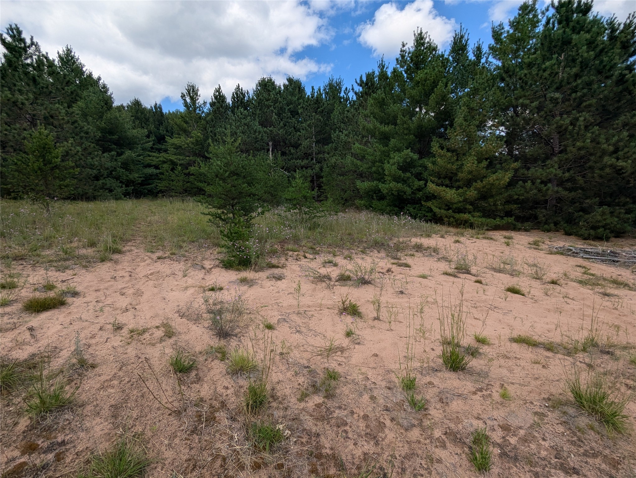 Land in Webster 4