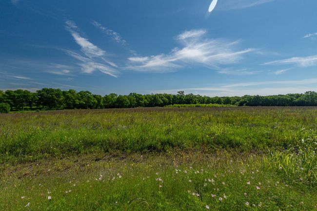 ES - 1625 Fm 904 S, Home with 0 bedrooms, 0 bathrooms and null parking in Pecan Gap TX | Image 14