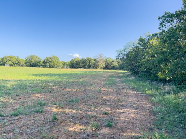 View of local wilderness with rural landscape | Image 32