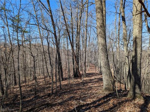 1950 Big Root Rd, Big Bend, WV, 26136-8024 | Card Image