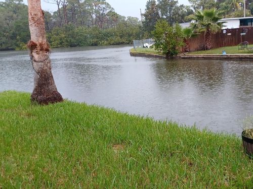 5029 Osprey Lane, NEW PORT RICHEY, FL, 34652 | Card Image