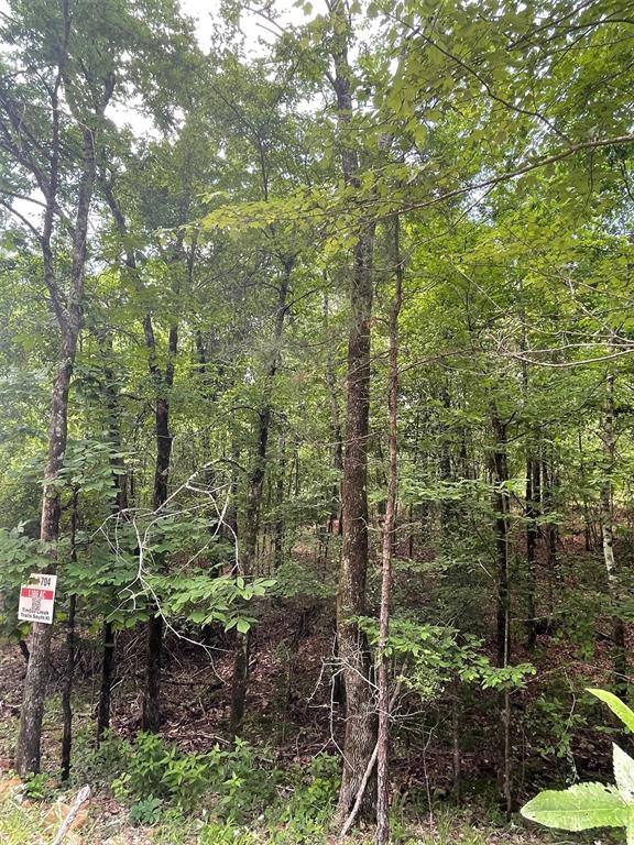 Land in Broken Bow 3