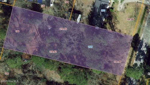 205 Nancy Road, Dudley, NC, 28333 | Card Image