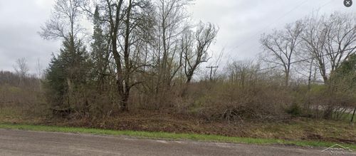 VL W Frances Road, Flushing Charter Township, MI, 48433 | Card Image