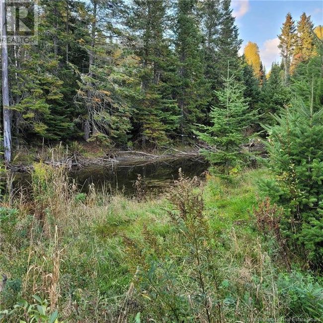 1636 Ch Rivière Verte, Home with 0 bedrooms, 0 bathrooms and null parking in Saint Basile NB | Image 4