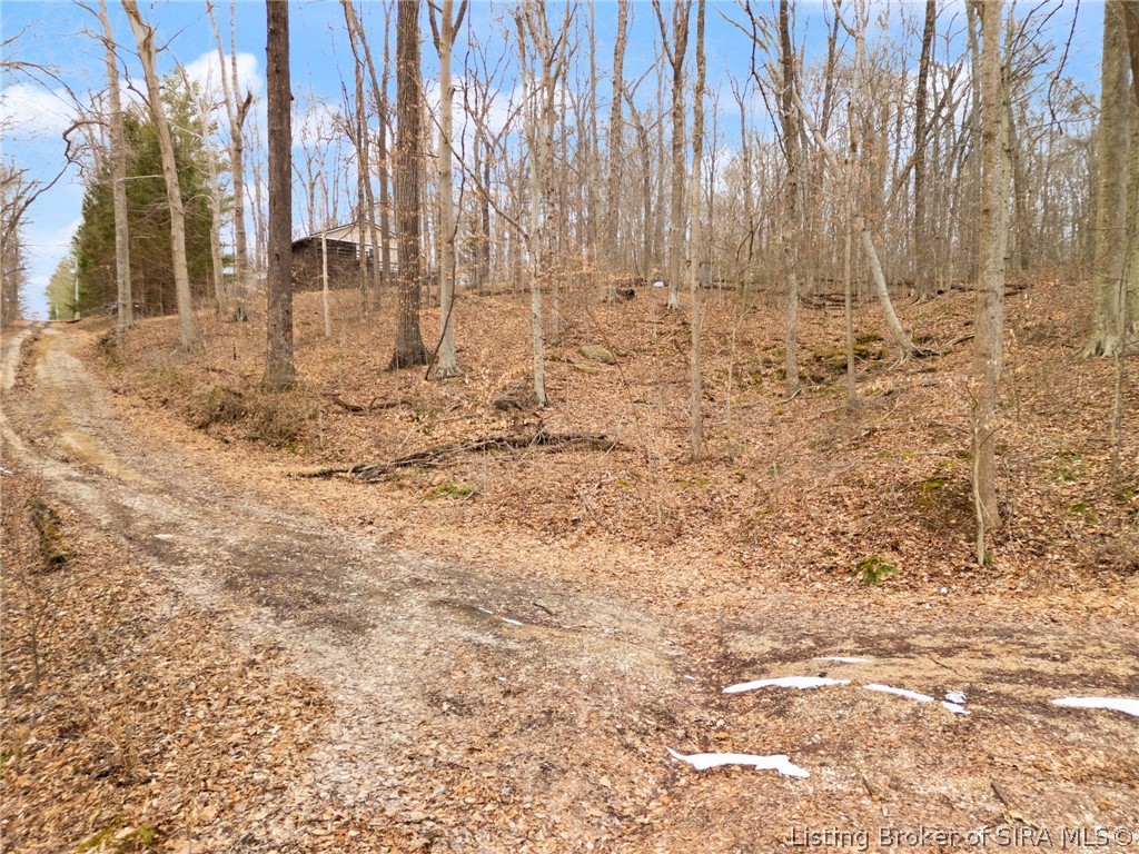 Land in Paoli 5