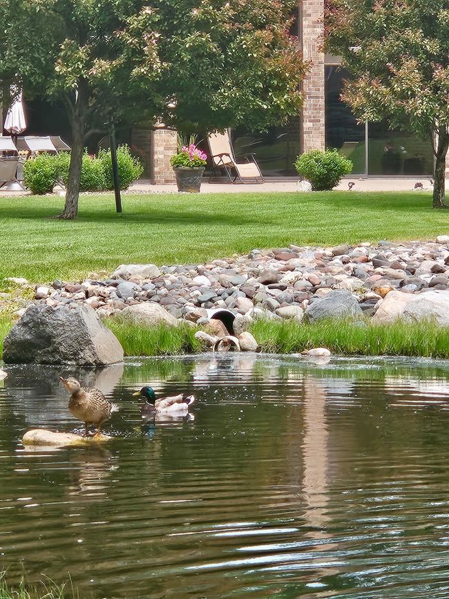 APT-201 - 2240 Midland Grove Rd, Condo with 2 bedrooms, 2 bathrooms and null parking in Roseville MN | Image 29