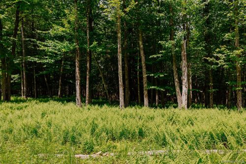 TBD Church Lake Road, Callicoon, NY, 12758 | Card Image