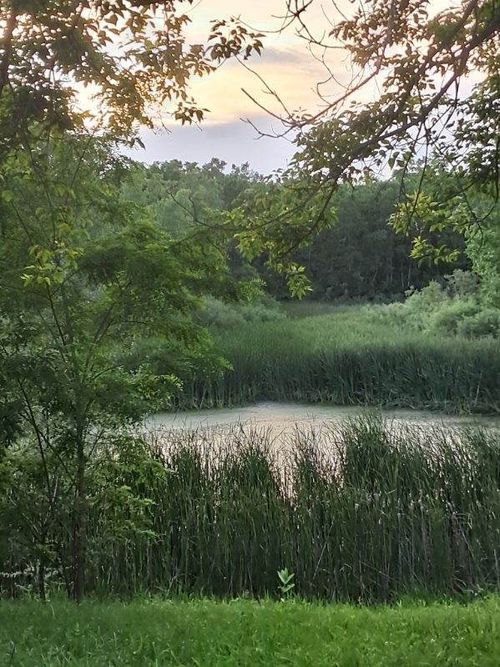 LOT 18 Orchard Valley Drive, Bull Valley, IL, 60050 | Card Image
