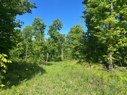 Lot 11 Cth G, Pelican Lake, WI, 54463 | Card Image