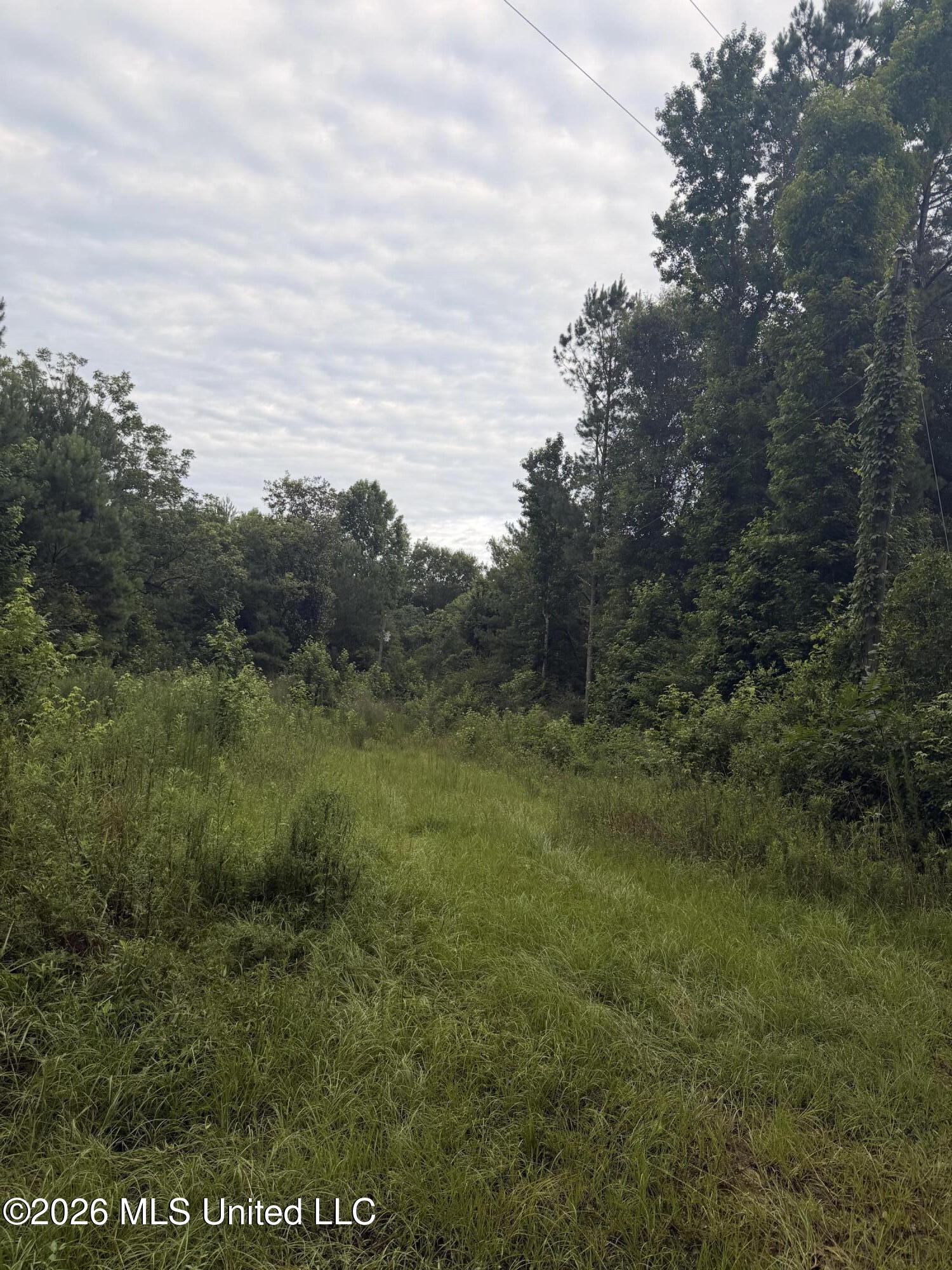 Land in McComb 3