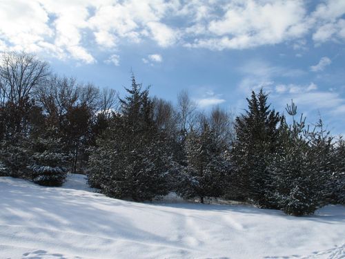 1932 64th Street, Somerset, WI, 54025 | Card Image