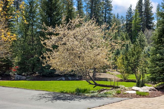 Lush Landscaping | Image 6