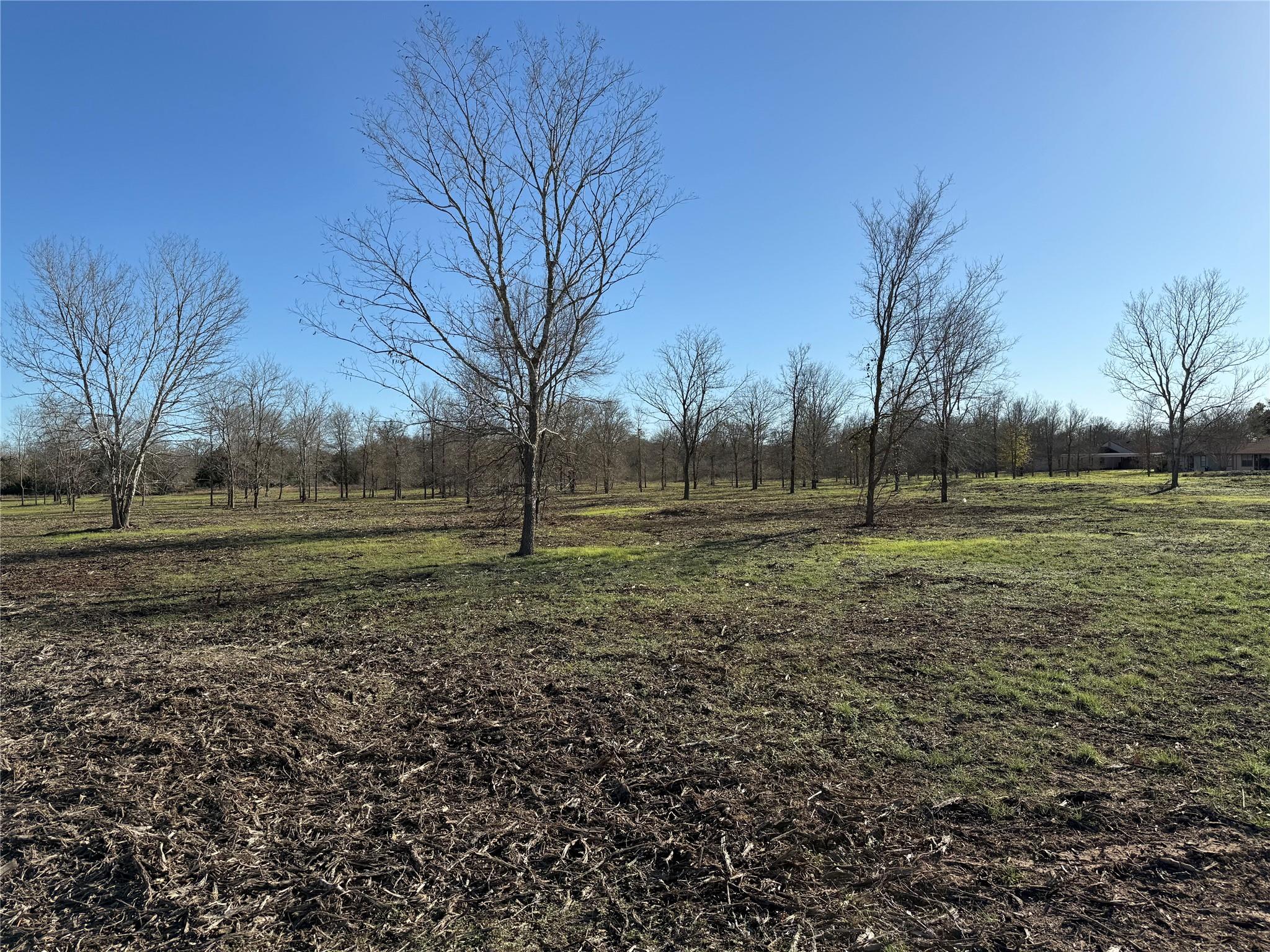 Commercial Sale in Seguin 5