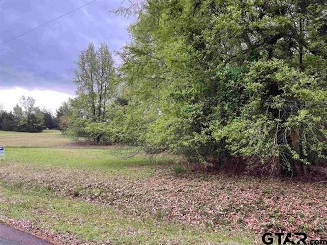 Lot 72 Cypress Cir, Home with 0 bedrooms, 0 bathrooms and null parking in Mt Vernon TX | Image 15