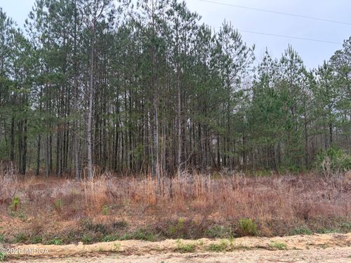 2924 Phelps Drive, Lizella, GA, 31052 | Card Image