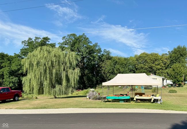Shooks Fruits and Vegetables stand | Image 20